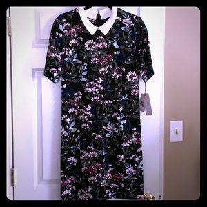 Ivanka Trump Work Dress